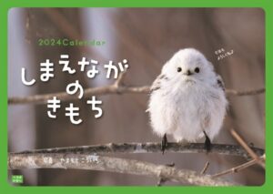 🎉 しまえなが2024年カレンダープレゼント企画 🎉