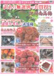 いいもの通信　訳あり無選別でお買い得！紀州南高梅（9月15日締切）