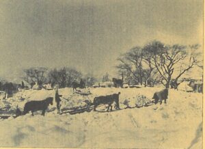 平成かわら版の発行（令和7年12月）